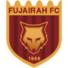 阿尔富伊拉